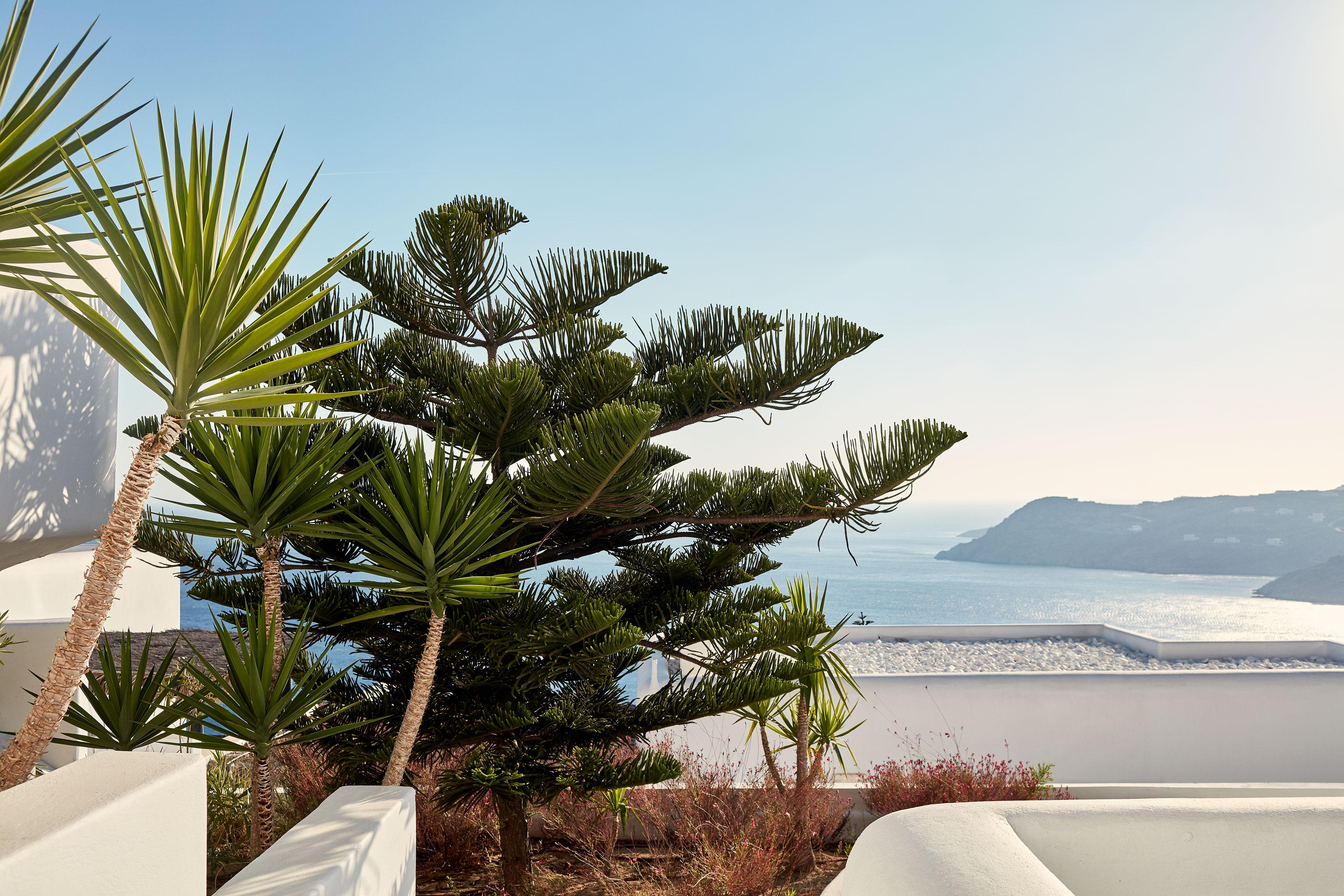 Myconian Utopia Relais & Chateaux Elia  Exterior foto